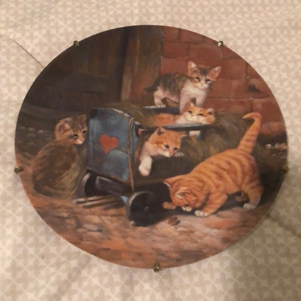 Cat art: von Wolfgang Kaiser